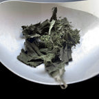 Sakura/ New Tea